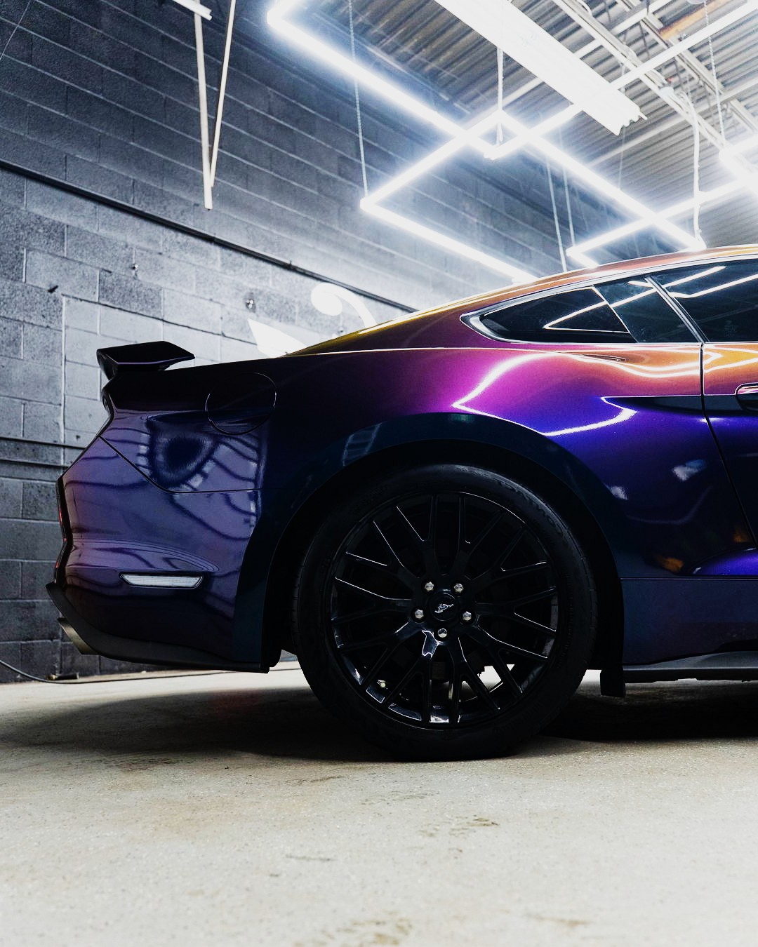 Colour-shift Mustang rear