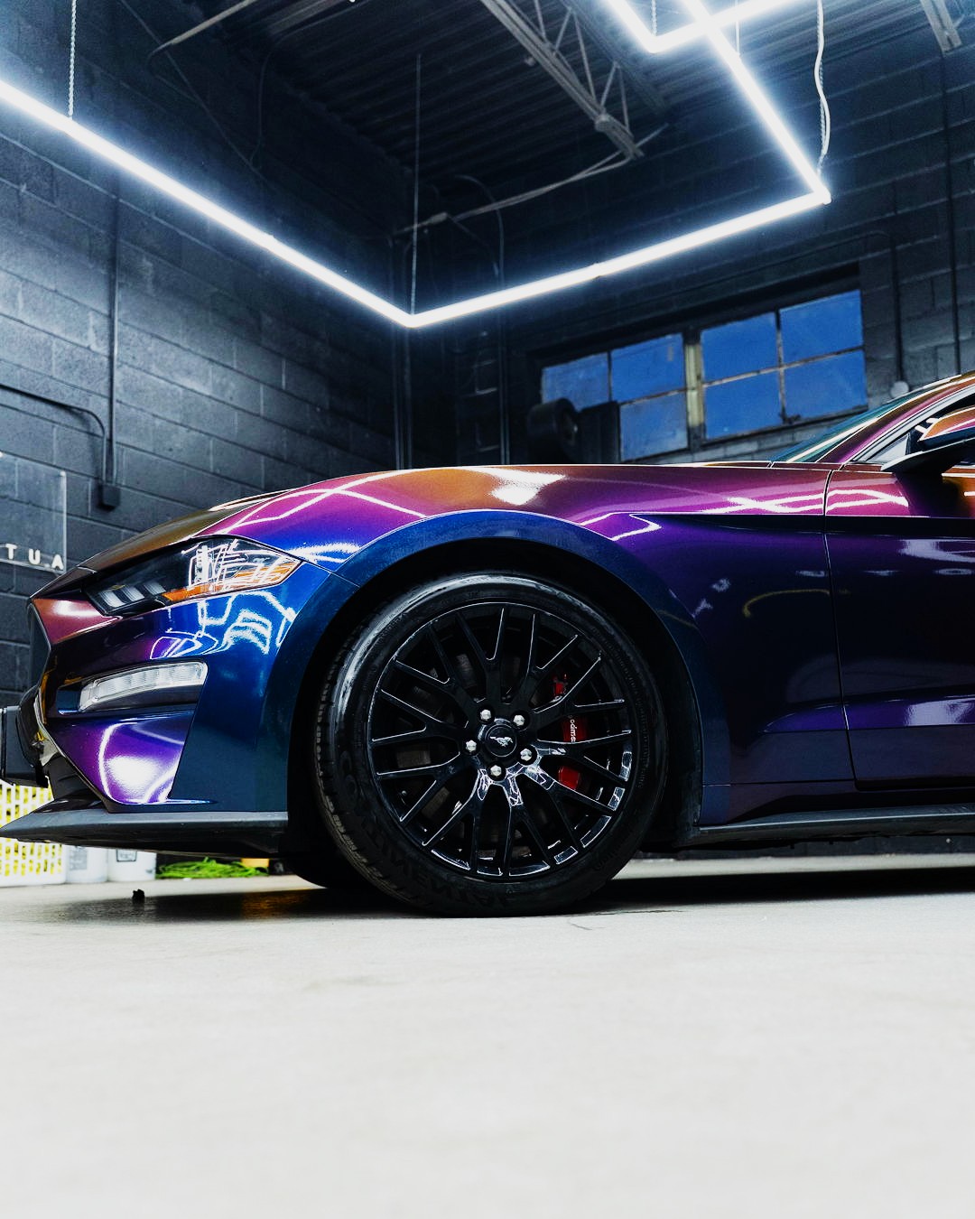 Colour-shift Mustang front